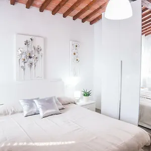 cascine-home-holidays.it-tuscanyhotel.com/