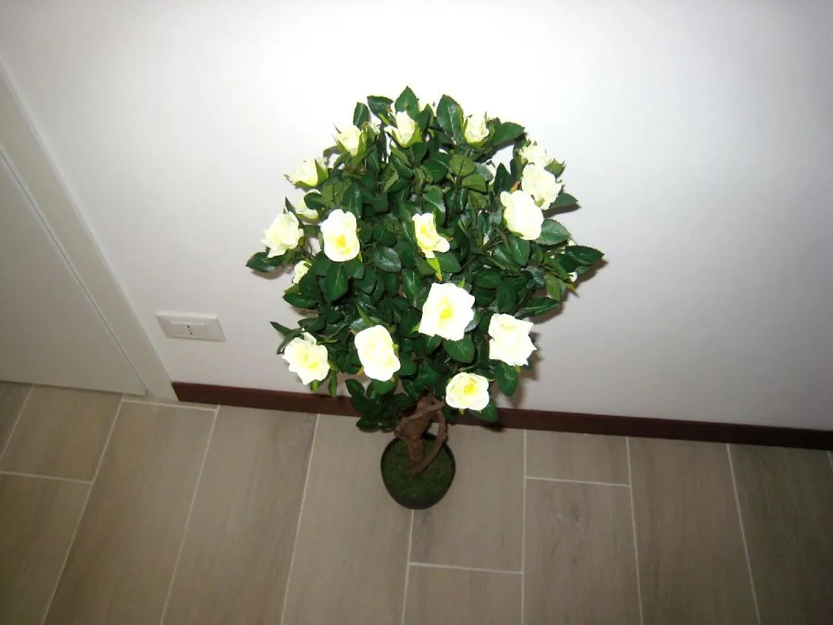 Le Maschere Mestre Bed & Breakfast